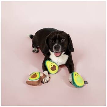 /assets/alt_2/XFSAOT3.jpg?20251219104712