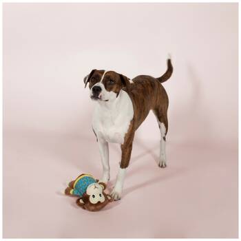 /assets/alt_2/XFSBMONXL.jpg?20251219104858