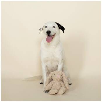 /assets/alt_2/XFSBUN.jpg?20251219104847