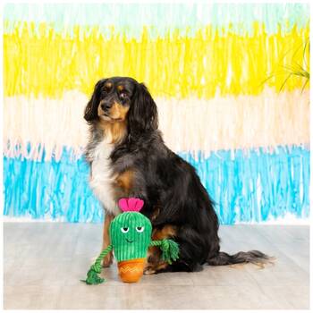 /assets/alt_2/XFSCAC.jpg?20251219104910