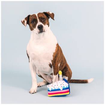 /assets/alt_2/XFSCAK.jpg?20251219104611