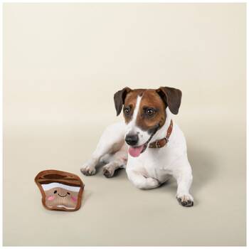 /assets/alt_2/XFSCOF.jpg?20251219104707