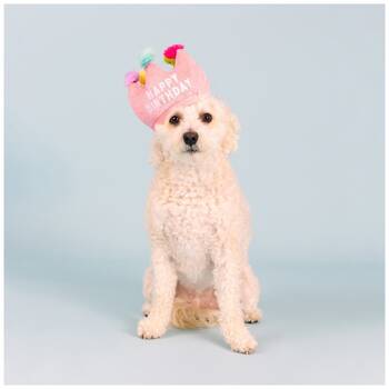 /assets/alt_2/XFSCRO_2PK.jpg?20251219104559