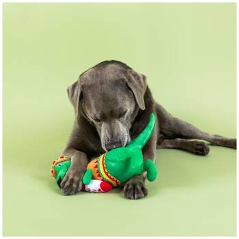 /assets/alt_2/XFSFSAUXL.jpg?20251219104932