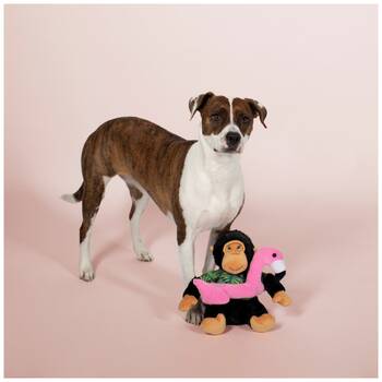 /assets/alt_2/XFSGGORXL.jpg?20251219105023