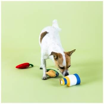 /assets/alt_2/XFSHH3.jpg?20251219104807