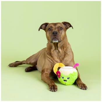 /assets/alt_2/XFSNUT.jpg?20251219104728