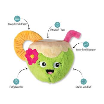 /assets/alt_2/XFSNUT_2PK.jpg?20251219104740