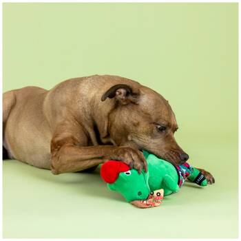 /assets/alt_2/XFSPREXXL.jpg?20251219104904