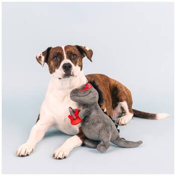 /assets/alt_2/XFSREXXL.jpg?20251219104705