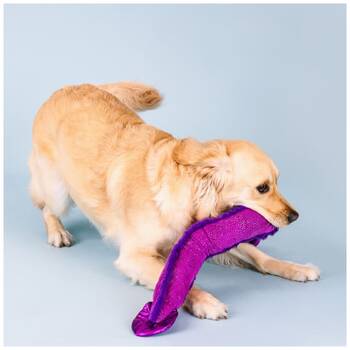 /assets/alt_2/XFSTPBIEEXL.jpg?20251219104952