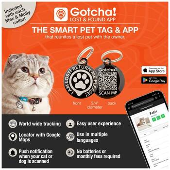 /assets/alt_2/XMMCCOLMAR.jpg?20251219104614