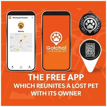 /assets/alt_2/XMMCCOLMON.jpg?20251219104534