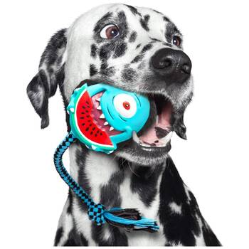 /assets/alt_2/XMMSSBKI_2PK.jpg?20251219104859