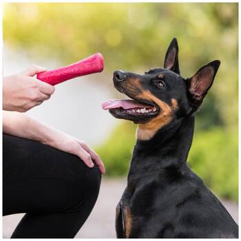 /assets/alt_2/XWPDRIEMDSM.jpg?20251223170131