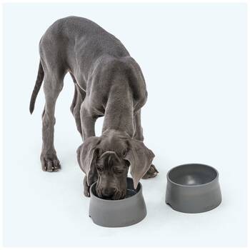 /assets/alt_2/XWPNSBMAR.jpg?20251223170214