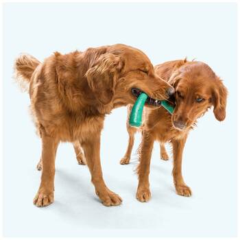 /assets/alt_2/XWPSNOEMD.jpg?20251223170059