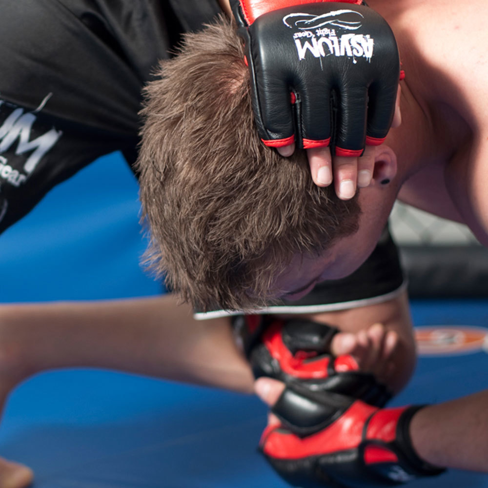 Asylum Boxing/MMA Mouth Guard Online KG Electronic