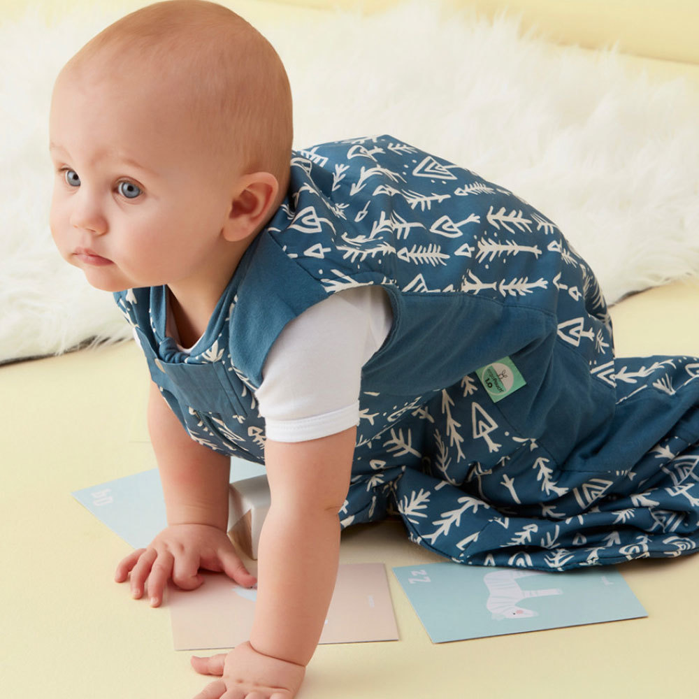 Ergo Pouch Organic/Cotton Sheeting Sleeping Bag 1236m 1.0 TOG Baby/Infant Arrow eBay