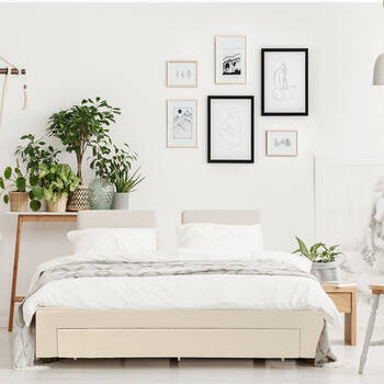 /assets/alt_3/10003583.jpg?20250605090128