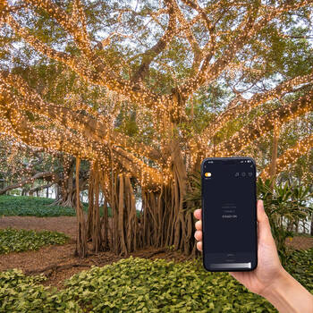 /assets/alt_3/10004651_2PK.jpg?20250807110036