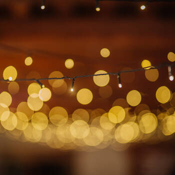 /assets/alt_3/10004654.jpg?20250807103111