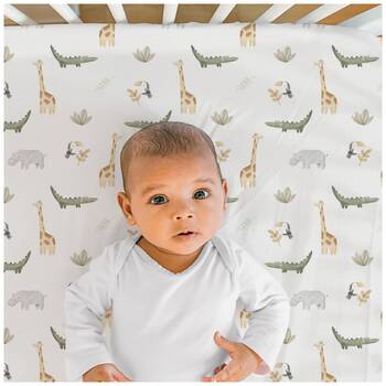 /assets/alt_3/11225FS_2PK.jpg?20251120101635