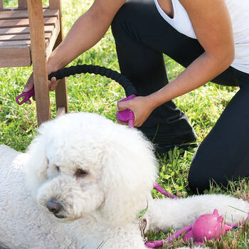 /assets/alt_3/12SMR.jpg?20250825102131