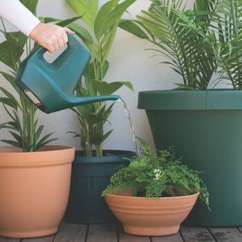 /assets/alt_3/1971702.jpg?20260324140046