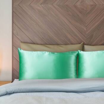 /assets/alt_3/204375_2PK.jpg?20250425093301