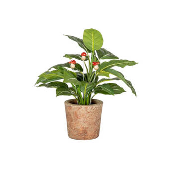 /assets/alt_3/29836.jpg?20250827153119