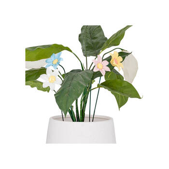 /assets/alt_3/30818_6PK.jpg?20250827161518