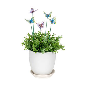 /assets/alt_3/30863_6PK.jpg?20250827161520