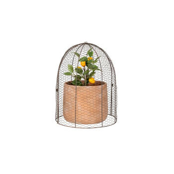 /assets/alt_3/31020.jpg?20250827153239