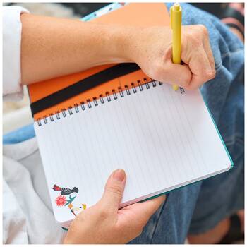 /assets/alt_3/38NBC_4PK.jpg?20251229120340