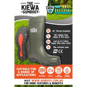 /assets/alt_3/480553.jpg?20250911130638