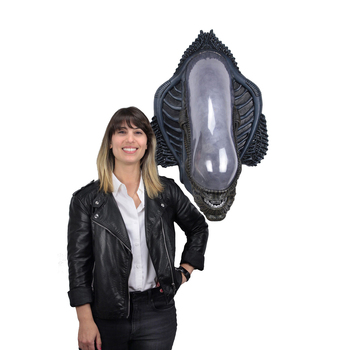 /assets/alt_3/51691.jpg?20240923123109