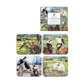 /assets/alt_3/521453.jpg?20260120120311