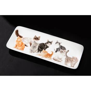 /assets/alt_3/522296_2PK.jpg?20260120121512