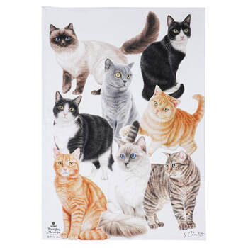 Large View /assets/alt_3/522303_2PK.jpg?20250131150133