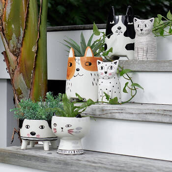 /assets/alt_3/52LD.jpg?20250117091733