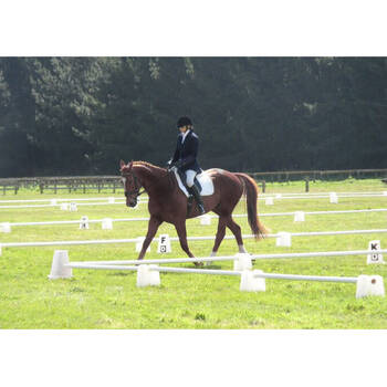 /assets/alt_3/780336_2PK.jpg?20250910122012