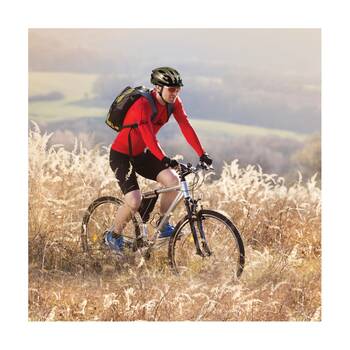 /assets/alt_3/810295523940.jpg?20251113134635