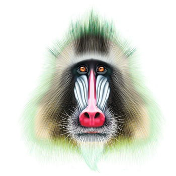 /assets/alt_3/9350375013855_9350375013.jpg?20241128163139