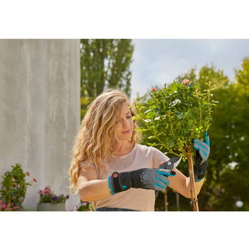 Large View /assets/alt_3/970487601.jpg?20241118123907