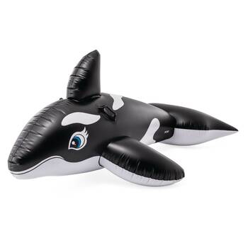 /assets/alt_3/A58561.jpg?20251014183229