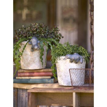 /assets/alt_3/AG-30719.jpg?20250827153106