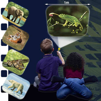 /assets/alt_3/BRSE4004.jpg?20250324114950