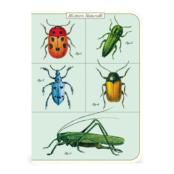 /assets/alt_3/C-NBBUG-MINI_2PK.jpg?20240913143304
