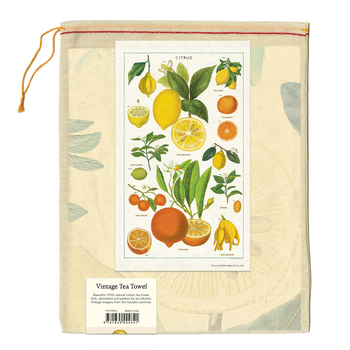 /assets/alt_3/C-TT-CITRUS_2PK.jpg?20240917151714